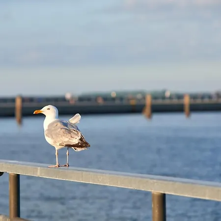 Ostseeperle Moba-travel